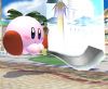 Super Smash Bros Brawl - 27